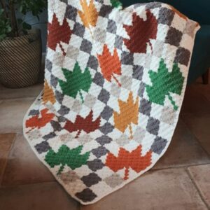 Falling into Autumn – Hook to Hook – Omslagfoto