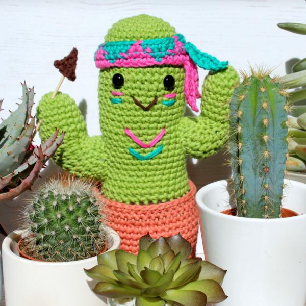 Timmy Cactus