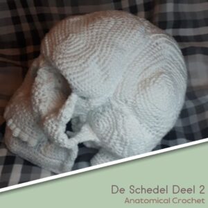 De Schedel Deel 2 - Deel 3 Menselijk Lichaam haken