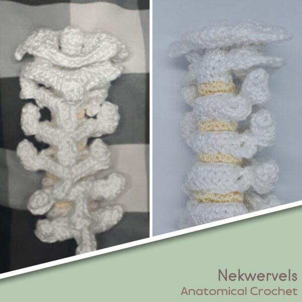 Nekwervels