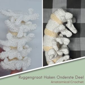 Ruggengraat Haken Onderste Deel