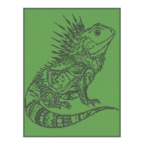 English - Tropical Iguana  - Sonja Nube
