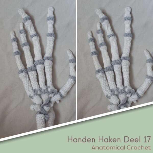 Handen Haken