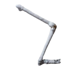 Product afbeelding