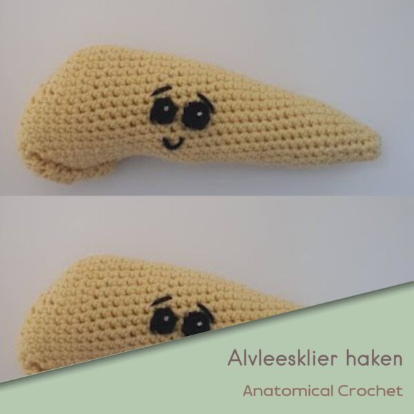 Alvleesklier haken
