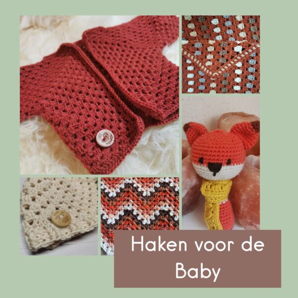Haken voor de Baby Cursus