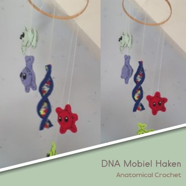 DNA Mobiel Haken