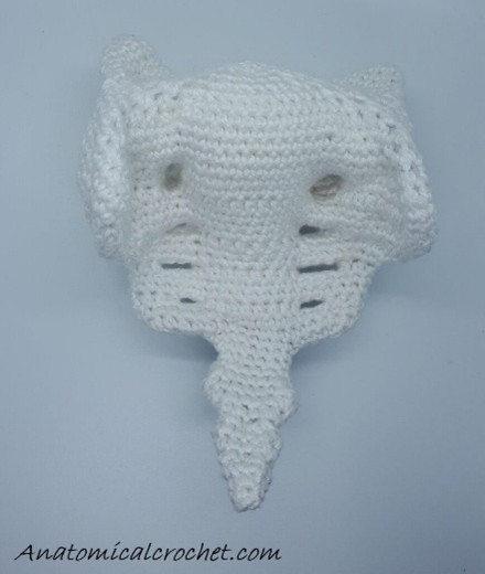 Heiligbeen en stuitbeen haken - Afbeelding 2