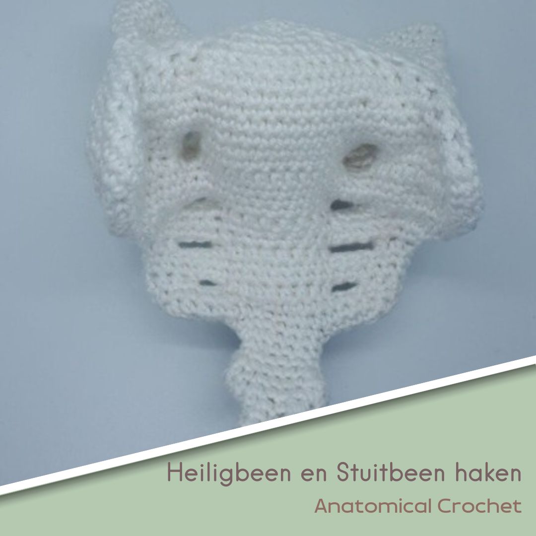 Heiligbeen en stuitbeen haken