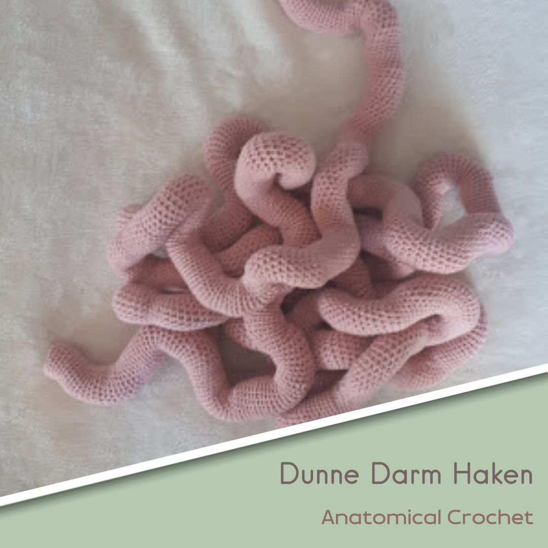Dunne Darm Haakpatroon